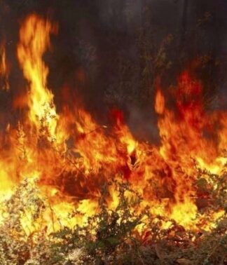 Συνελήφθη 24χρονος για 16 εμπρησμούς – Η ανακοίνωση της πυροσβεστικής