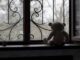 Στυλίδα: Συγκλονιστικές εξελίξεις στην υπόθεση του 18 μηνών αγοριού που του έδωσαν ναρκωτικά