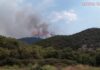 ΕΚΤΑΚΤΟ: Μεγάλη φωτιά στο δάσος του Αχέροντα