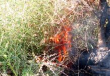 Φωτιά ΤΩΡΑ στη Λεωφόρο Ανάβυσσου – Δραματική έκκληση του Δημάρχου