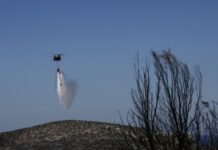 Φωτιά στην Ανάβυσσο: Αλλάζει συνεχώς κατεύθυνση λόγω του αέρα