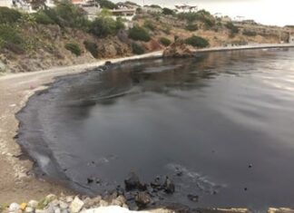 Σαλαμίνα: Πλησίασαν και είδαν μέσα στη θάλασσα αυτές τις εικόνες – Οργή στην Κυνοσούρα