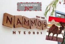 ΜΥΚΟΝΟΣ: Έκαναν την εμφάνισή τους καμήλες στο Nammos!