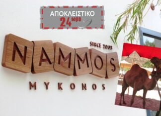 ΜΥΚΟΝΟΣ: Έκαναν την εμφάνισή τους καμήλες στο Nammos!