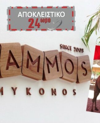 ΜΥΚΟΝΟΣ: Έκαναν την εμφάνισή τους καμήλες στο Nammos!