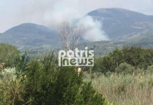 Μεγάλη φωτιά στην Ηλεία. Μπήκε στο χωριό και έφτασε σε σπίτια.