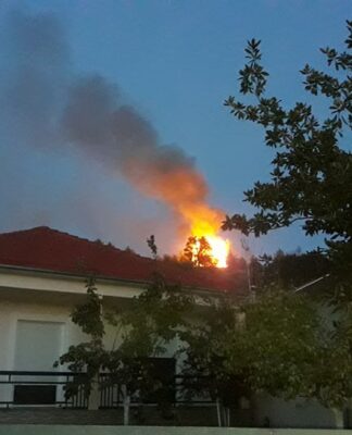 Καλαμπάκα: Απειλεί σπίτια η φωτιά στην Βασιλική