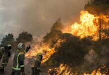 Τραγωδία από την πύρινη λαίλαπα – Βρέθηκαν απανθρακωμένοι μέσα στο αυτοκίνητό τους