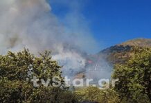 Καρπενήσι: Μεγάλη φωτιά δίπλα σε σπίτια και ξενοδοχεία – Κάηκαν ζώα και μελίσσια