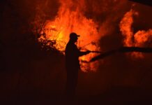 Αχαϊα: Φωτιά σε προστατευόμενη δασική έκταση στην περιοχή Καλόγρια – Επί τόπου ισχυρές πυροσβεστικές δυνάμεις.