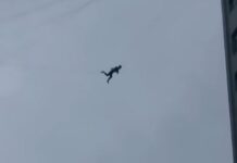 Εικόνες σοκ. Ακροβατούσε στο κενό για να μην πληρώσει τον λογαριασμό