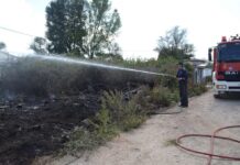 Φωτιά στο Πολυδένδρι – Μεγάλη επιχείρηση της Πυροσβεστικής