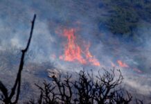 Πύρινο μέτωπο στην Κρήτη – Φωτιά τώρα στη Σητεία