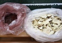 Μάνα με τους δυο γιούς της είχαν γεμίσει ναρκωτικά τα σχολεία στα Βόρεια Προάστια