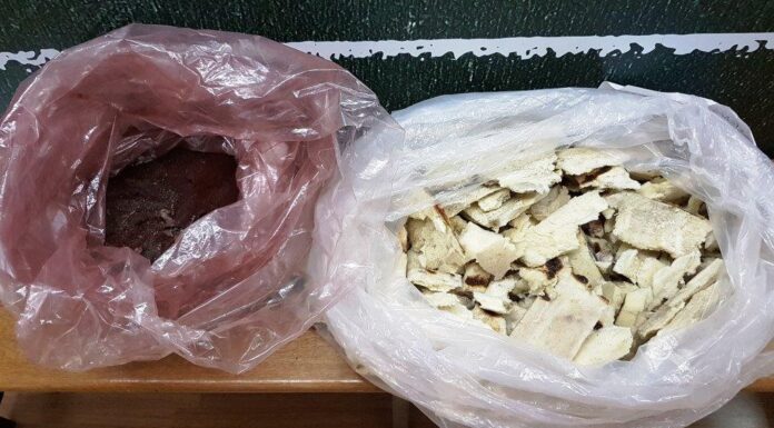 Μάνα με τους δυο γιούς της είχαν γεμίσει ναρκωτικά τα σχολεία στα Βόρεια Προάστια
