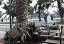 Απίστευτο ατύχημα στη Φθιώτιδα – Της έπεσε… φοίνικας στο κεφάλι.