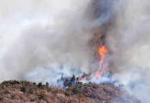 Στο έλεος των πυρκαγιών η Ιταλία – Εκκενώθηκε γηροκομείο – Βοήθεια από την Ελλάδα