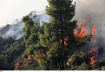 Μεγάλη φωτιά σε δύσβατη περιοχή στην Εύβοια