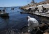 ΠΕΙΡΑΙΑΣ: ΣΟΚ από τις επιπτώσεις της Πετρελαιοκηλίδας – Δείτε τι λέει ο Καθηγητής Ιατρικής Μπεχράκης