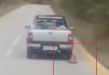 Αχαϊα: Βρέθηκε ο οδηγός που έσερνε με το αυτοκίνητο ένα δεμένο σκύλο – Οι εξηγήσεις στους αστυνομικούς