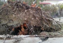 Κέρκυρα: Περιοχές θυμίζουν βομβαρδισμένα τοπία – Κατολισθήσεις, πλημμύρες και ζημιές από την κακοκαιρία