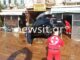 Σύμη: Καμία αναφορά για αγνοούμενους – Σε κατάσταση έκτακτης ανάγκης το νησί