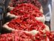 Συναγερμός για το επικίνδυνο παιχνίδι «chili pepper» – Μαθητές με εγκαύματα