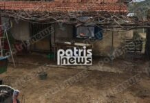 Ηλεία: Πλησίασαν και είδαν αυτές τις εικόνες μέσα στο σπίτι τους – Πάγωσε το ζευγάρι