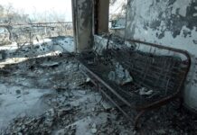 Λακωνία: Κατηγορείται ότι έβαλε φωτιά και έκαψε ζωντανή την 95χρονη θεία του.