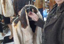 Πάτρα: Επίθεση με μολότοφ σε κατάστημα με γούνες – Οι εικόνες της καταστροφής