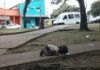 Το κοριτσάκι που πίνει νερό από το έδαφος. Εικόνα που σοκάρει