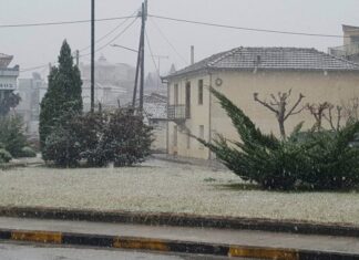 Άσπρα τα Τρίκαλα. Το 'στρωσε μέσα στην πόλη.