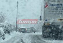 Αποκλεισμένοι οδηγοί και κάτοικοι στα Καλάβρυτα. Τρομερή χιονοθύελλα έχει "παραλύσει" τα πάντα