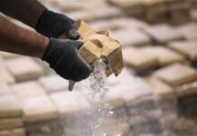 Βάρκιζα: Νέα στοιχεία για τον Μάρτιν που έκρυβε σε πολυτελές διαμέρισμα 135 κιλά κοκαΐνης – Μεγάλη αστυνομική επιχείρηση στην Αττική