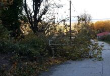 Τρίκαλα: Ξηλώθηκαν στέγες σπιτιών και ξεριζώθηκαν δέντρα – Ζημιές λόγω θυελλωδών ανέμων