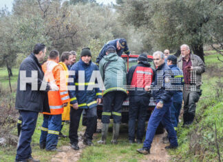 Βρέθηκε νεκρός ο Θεόδωρος Στάμος – Ο τελευταίος διάλογος με τον γιο του πριν την εξαφάνιση