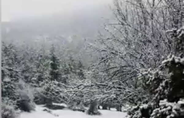 Καιρός: Η πρόγνωση για σήμερα Κυριακή