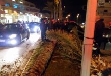 Κρήτη: Σοβαρό τροχαίο στη παραλιακή του Ηρακλείου – Το αυτοκίνητο ξερίζωσε φοίνικες.
