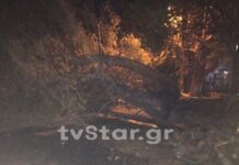 Φθιώτιδα: Ανεμοστρόβιλος σάρωσε την Υπάτη.