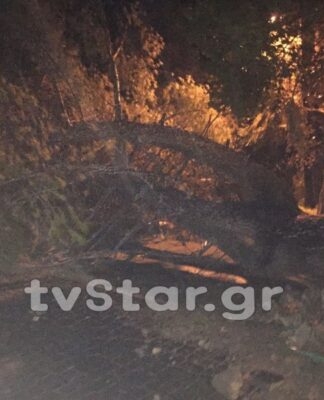 Φθιώτιδα: Ανεμοστρόβιλος σάρωσε την Υπάτη.