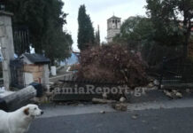 Λαμία: Αποκαλυπτικές εικόνες καταστροφής σε σπίτια και δρόμους από την κακοκαιρία – Ξηλώθηκαν ακόμα και σκεπές