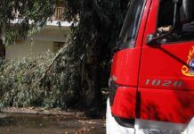 Τρίκαλα: Έκλεισε η εθνική οδός λόγω πτώσης δέντρου