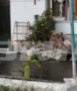 Λακωνία: Τον σκότωσαν στο ξύλο μέσα σε αυτό το σπίτι – Σοκάρει τη Σκάλα η στυγερή δολοφονία