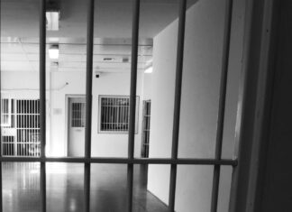 Μεσσηνία: Προφυλακίστηκε ο 66χρονος που πυροβόλησε τον συγχωριανό του