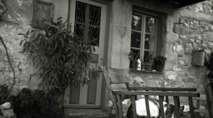 Αιτωλοακαρνανία: Τα παιδιά σόκαραν τους γονείς τους που άρχισαν να τσακώνονται μπροστά τους – Χαμός στο διαμέρισμα.