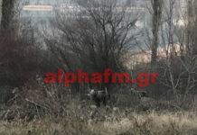 Καστοριά: Έπεσε το βλέμμα τους στο δάσος και είδαν αυτές τις εικόνες που θα θυμούνται για πάντα