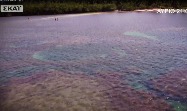 Survivor 2: «Σιχαίνομαι τη διπροσωπία!Δεν ασχολούμαι με διπρόσωπα άτομα…»-Για ποιον χτυπά η καμπάνα;