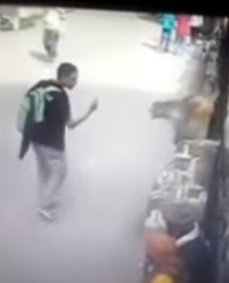 Έκανε τον εξυπνάκια σε μαϊμού και το πλήρωσε – Η χειρονομία και η αντίδραση