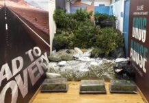 Εξαρθρώθηκε κύκλωμα ναρκωτικών – Αστρονομικό το ποσό στο… τραπέζι