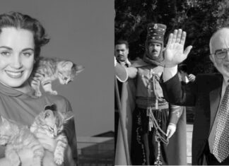 Αποκαλύψεις CIA. Ο βασιλιάς Χουσεΐν είχε εξώγαμο γιο με την ερωμένη του – ηθοποιό Σούζαν Κάμποτ